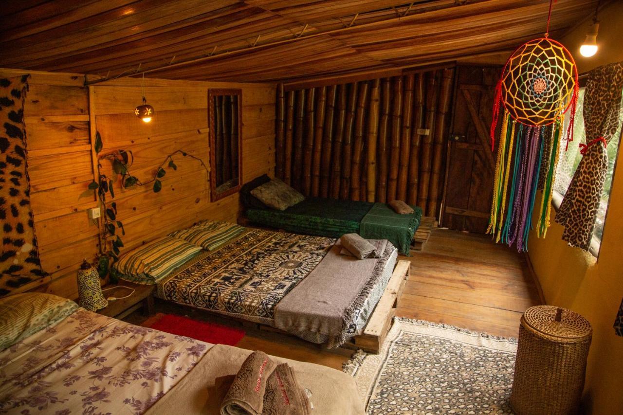 Eco Hostel Organic Life Trindade  Exterior foto